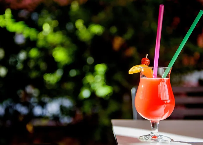 梅特罗博尔酒店 酒店